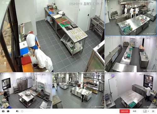 白玉蘭穹頂何時綻放？上海網球大師賽場館幕后保障與建筑節能系統揭秘